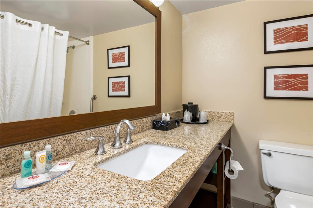 Comfort Inn Msp Airport - Mall Of America Bloomington Kamer foto